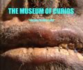 livre The museum of curios