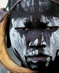 livre Guerriers d'Afrique