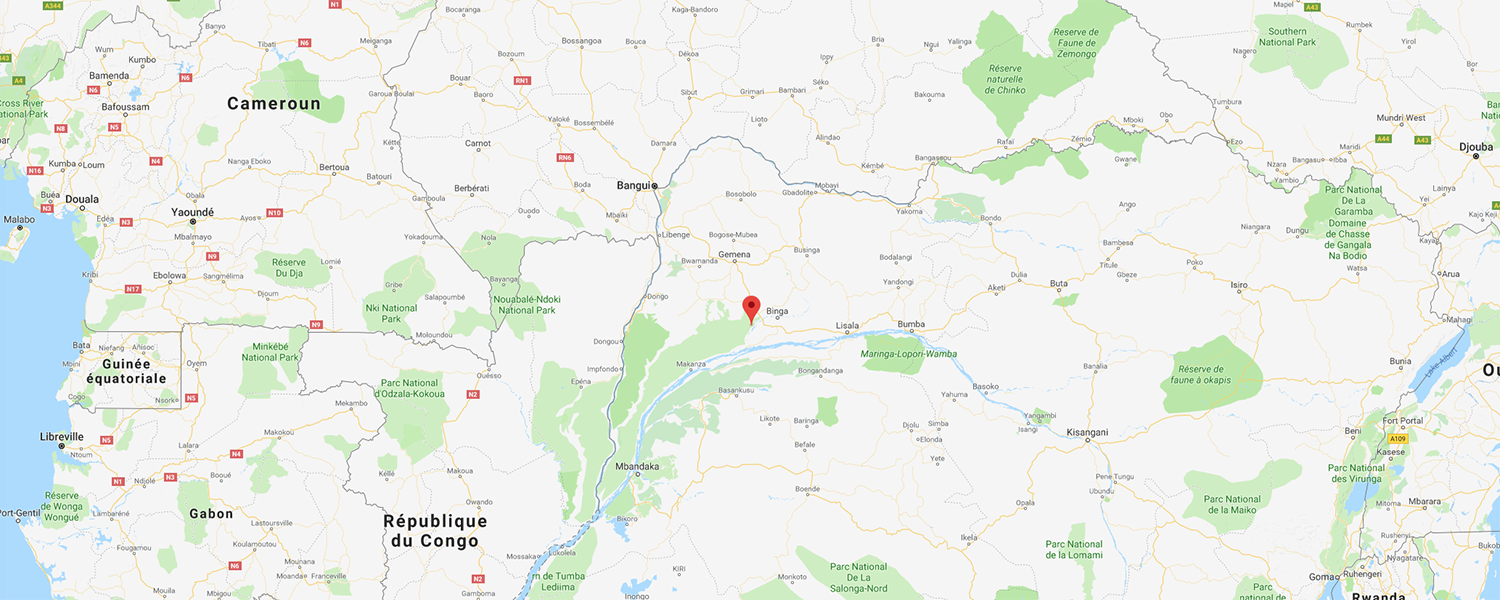 localisation de ethnie Ngbaka / Bwaka