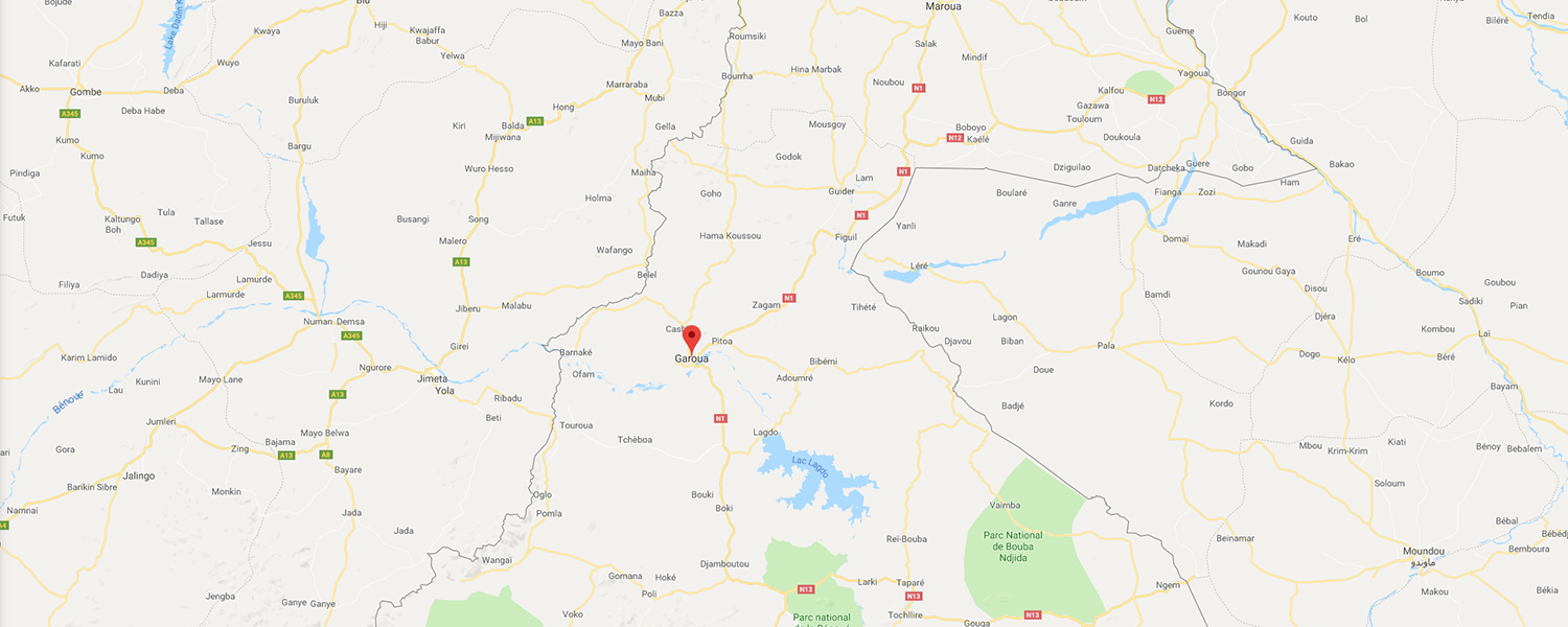 localisation de ethnie Fali